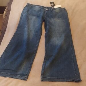 Flamingo Women's Wide Leg Blue Jeans
